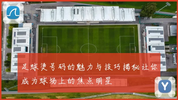 足球烫号码的魅力与技巧揭秘让你成为球场上的焦点明星