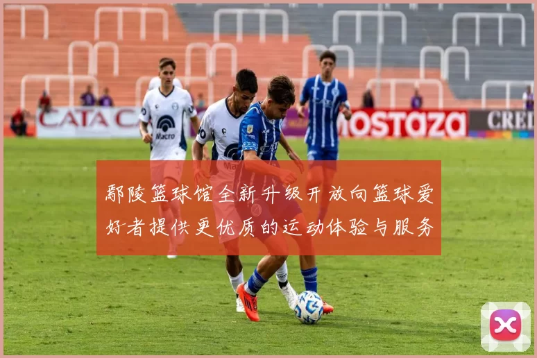 鄢陵篮球馆全新升级开放向篮球爱好者提供更优质的运动体验与服务