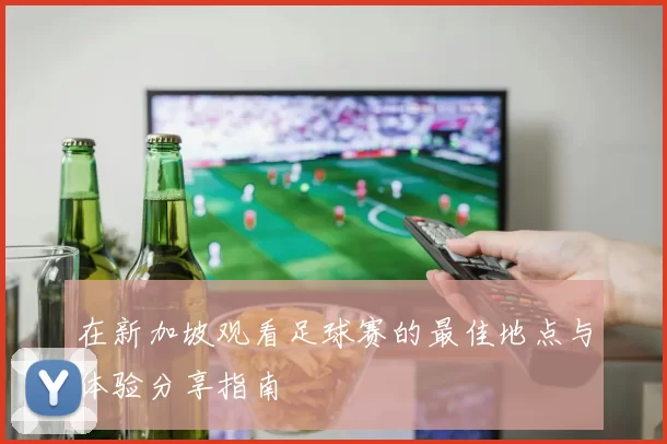 在新加坡观看足球赛的最佳地点与体验分享指南