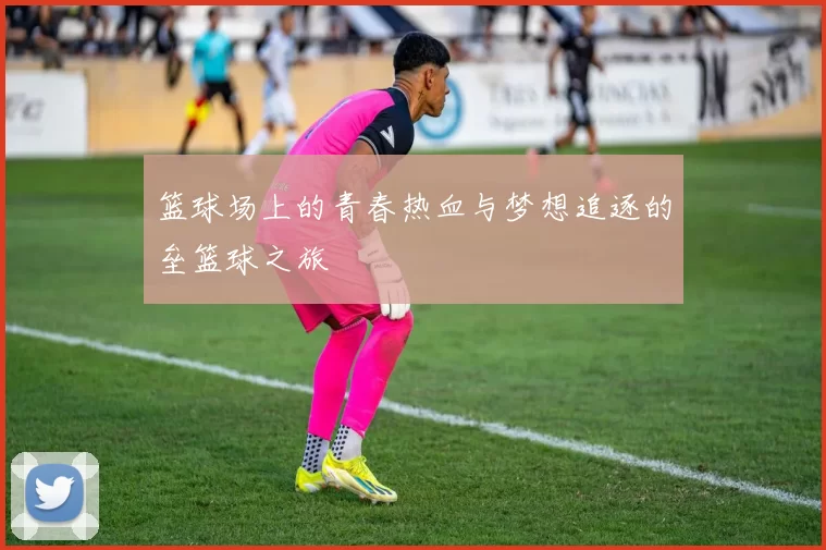 篮球场上的青春热血与梦想追逐的垒篮球之旅